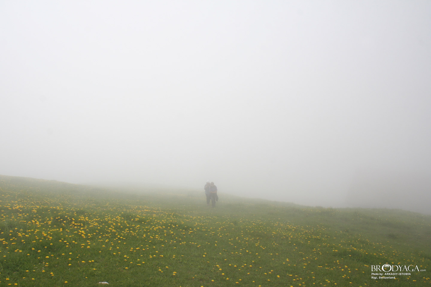 Rigi